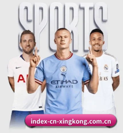 五大体育板块覆盖,从比分到直播全覆盖 - 多运动项目内容板块