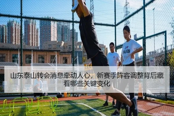 山东泰山转会消息牵动人心，新赛季阵容调整背后藏着哪些关键变化